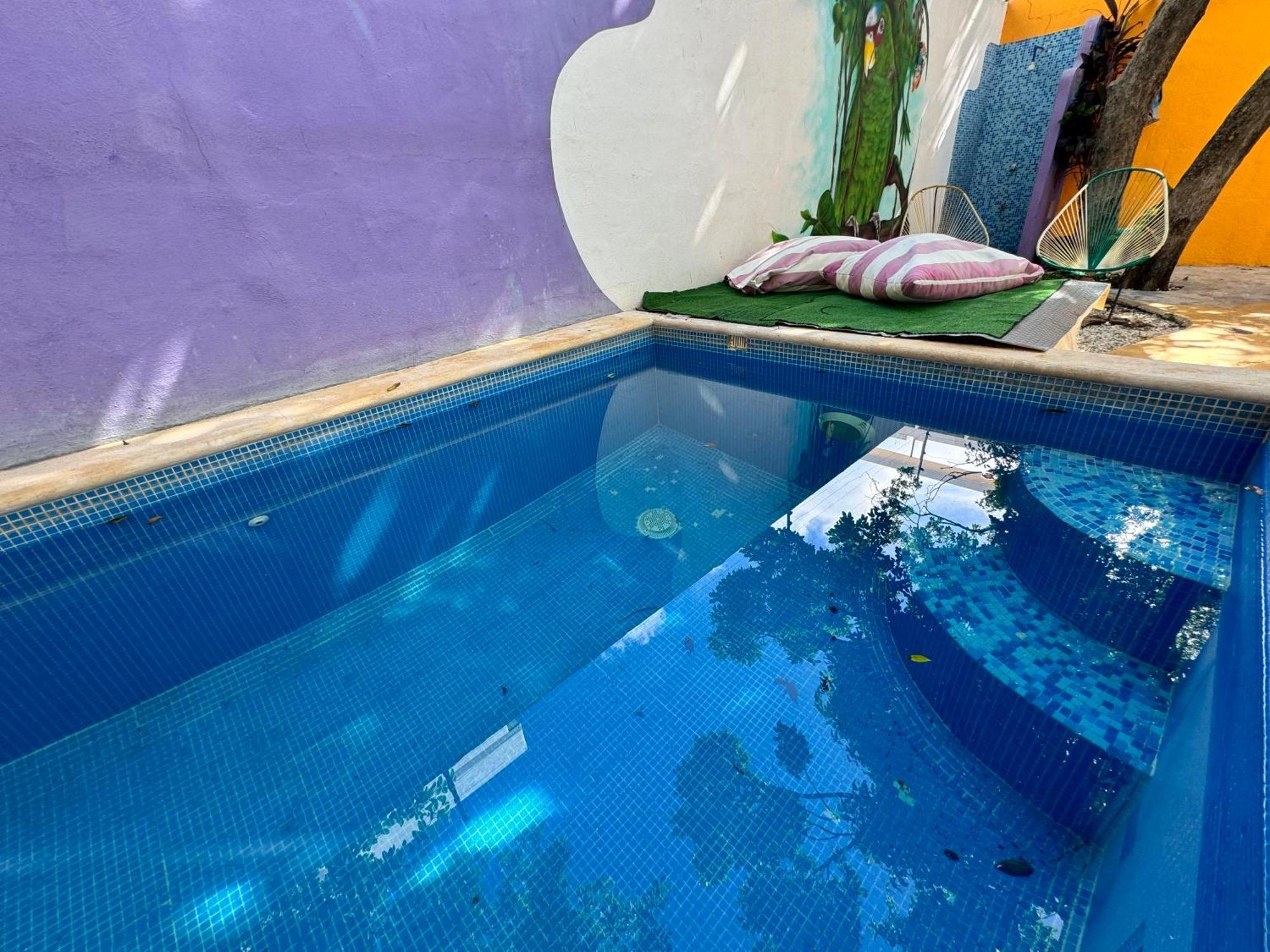 "Vainilla B&B" - Stylish Comfort In Playa Del Carmen Luaran gambar