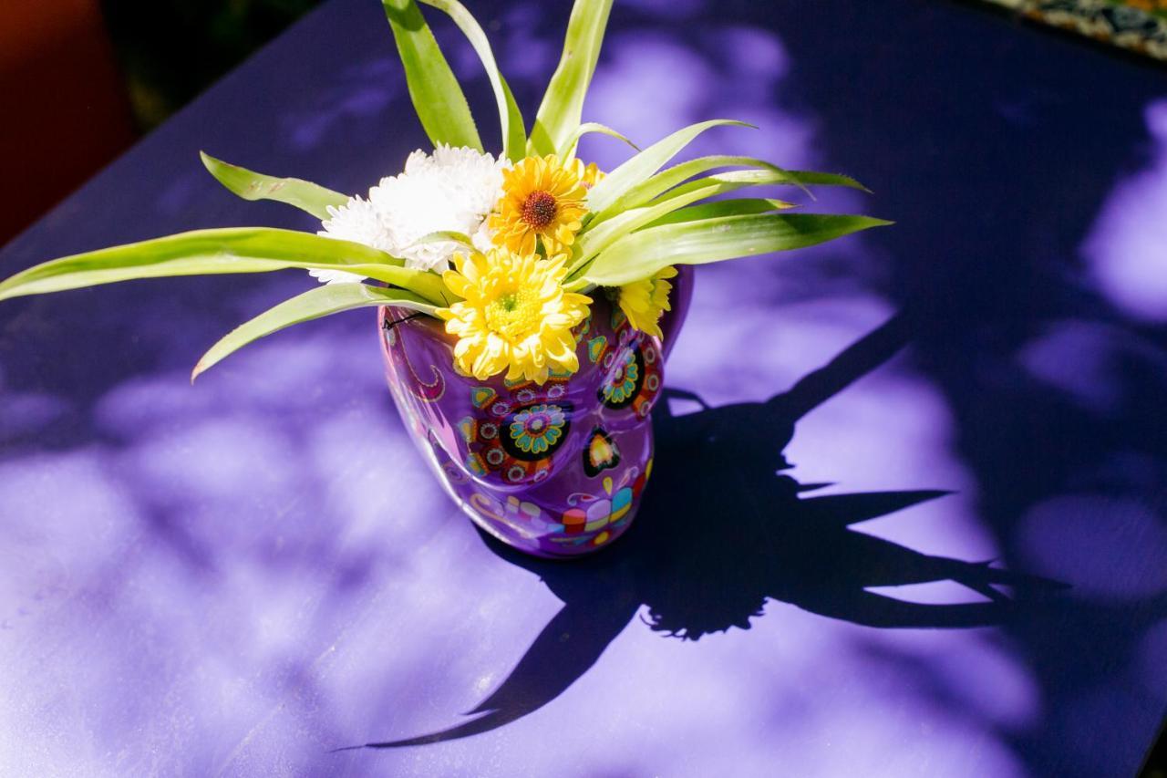 "Vainilla B&B" - Stylish Comfort In Playa Del Carmen Luaran gambar